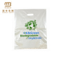 Wholesale Heal Seal Custom Logo Printed Biodegradable Die Cut Handle Ldpe Hdpe PE Shopping Plastic Bag